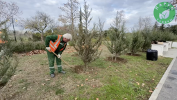 В парке Победы подготавливают деревья к зиме