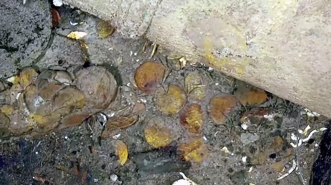 Колумбийские военные обнаружили затонувший 300 лет назад испанский галеон с сокровищами