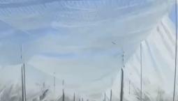 В Белгородской области сделают антидроновые коридоры