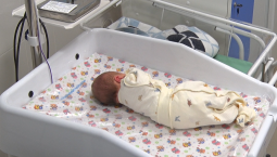 Услуги по родовым сертификатам оплачены 2 тыс. мам в Севастополе