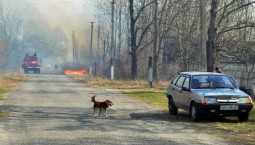 Россия успеет принять меры, если будет выброс с ЧАЭС