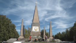 Сквер на Северной стороне украсили 30 кустов силены