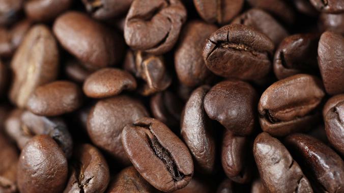 Ученые: кофейные отходы могут ускорить восстановление лесов