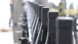 31 млн бутылок вина выпустили в Севастополе за год 