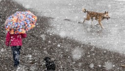 На Крым надвигается снег, дождь и сильный ветер