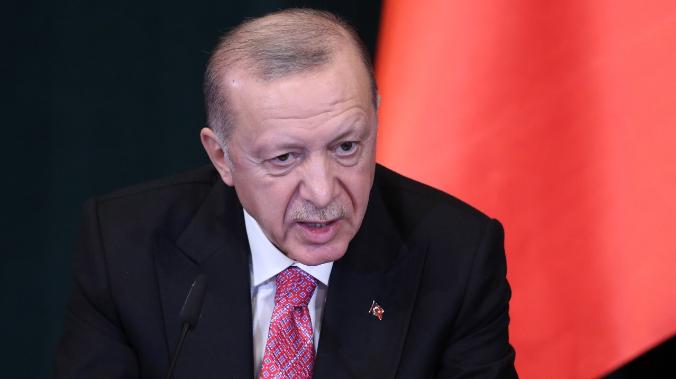 Немецкий эксперт предложил поставить Эрдогана на место