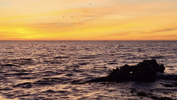 11 дронов ВСУ сбиты над Крымом и Азовским морем