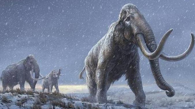 Ученые: мамонты жили на 1000 лет дольше, чем считалось