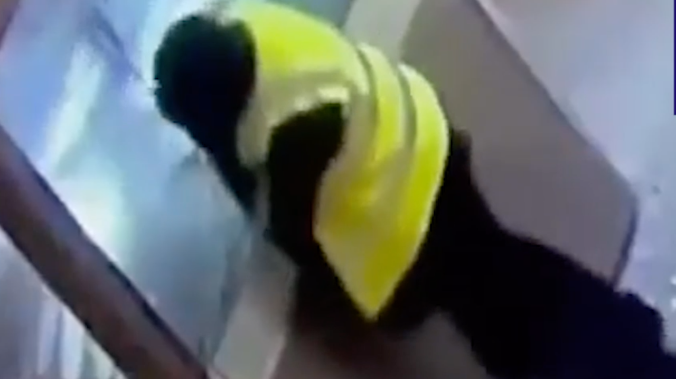 Во Франции показали новые кадры ограбления Лувра