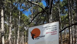 В Ялтинском заповеднике запретили посещение троп
