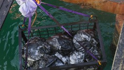 911 тонн отходов мазута обезвредили в Крыму