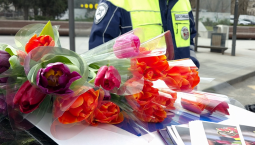 Автоледи Севастополя получили тюльпаны от ГАИ