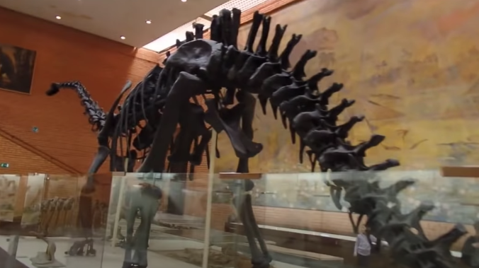 Ученые: динозавров погубил астероидный апокалипсис