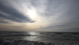 В конце недели в Крыму усилится ветер до 15-20 м/с