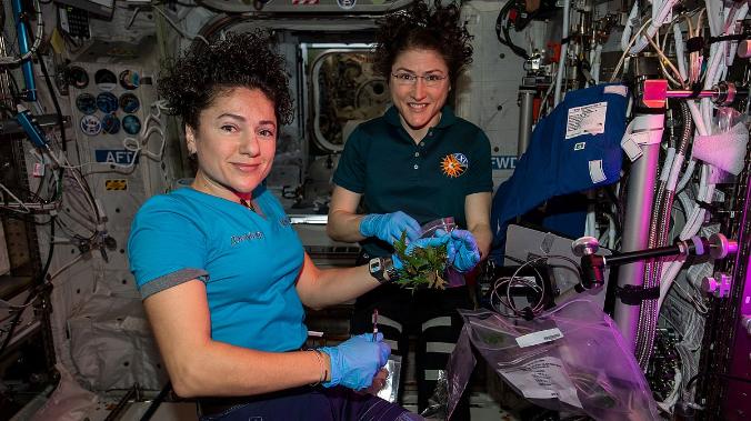 Российские ученые рассказали об опасностях для беременных космических путешественниц 