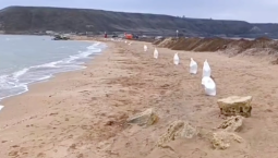 В Крыму от выбросов мазута очистили 213 км берега