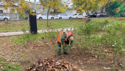 Сквер имени Папанина готовят к цветочному сезону
