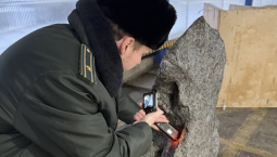 В Петербурге пресекли вывоз метеорита весом 2,5 тонн
