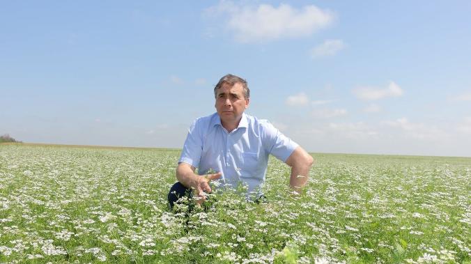 На сельхозпредприятиях Крыма провакцинировано 3590 человек