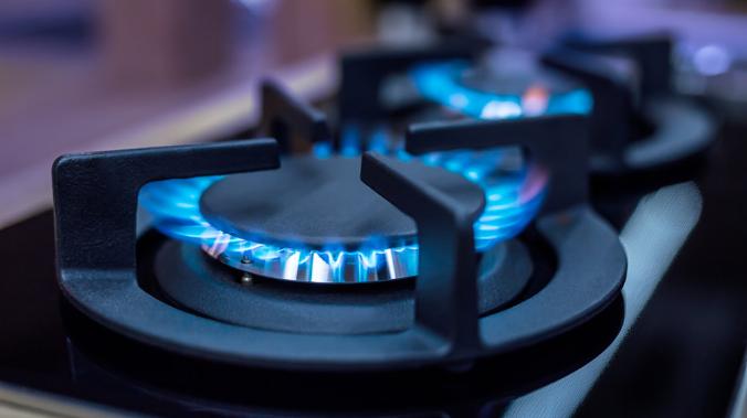Газпром пообещал бесплатно провести газ в небольшие дома россиян