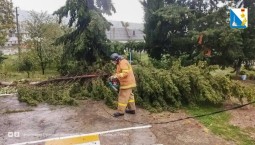 В Севастополе принято 1 012 обращений из-за непогоды