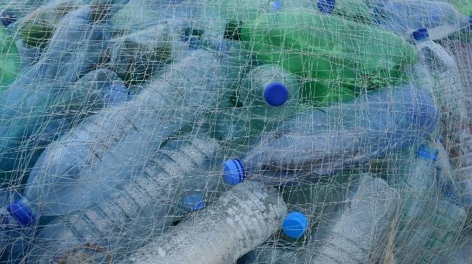 В 2020 году пластик составил половину всего мусора России