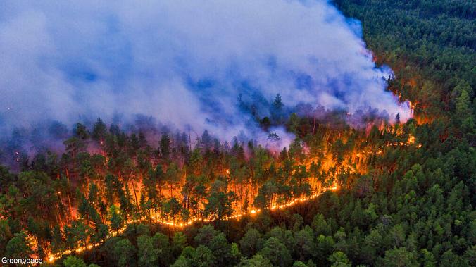 Севастопольские студенты представили систему мониторинга для прогноза лесных пожаров