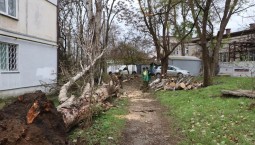 В Керчи устраняют последствия сильного ветра