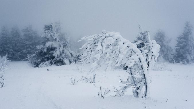 В Симферополе выпало свыше 15 сантиметров снега