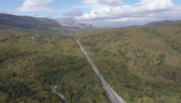 В Крыму сняли ограничение на посещение лесов