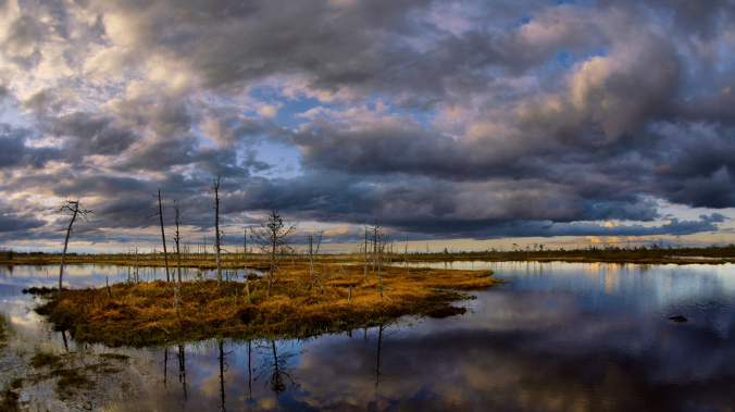Томские болота влияют на климат всей Земли