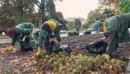 Приморский бульвар готовят к новой высадке цветов