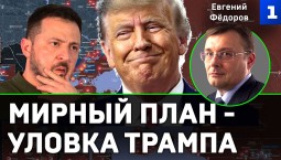 Фёдоров: мирный план – уловка Трампа