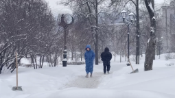 До 50% месячной нормы снега выпало в Московском регионе за сутки