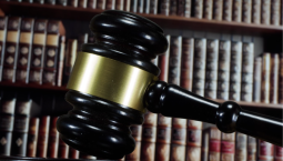 В Севастополе у дольщиков похитили более 90 млн руб.