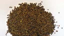 6 лет дали жителю Крыма за хранение взрывчатки