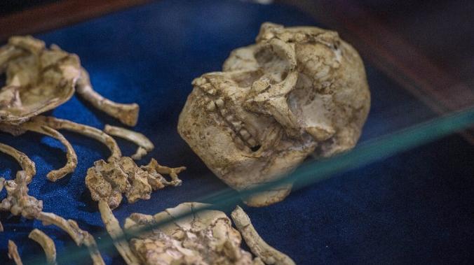 Древнейшие останки человека оказались на миллион лет старше