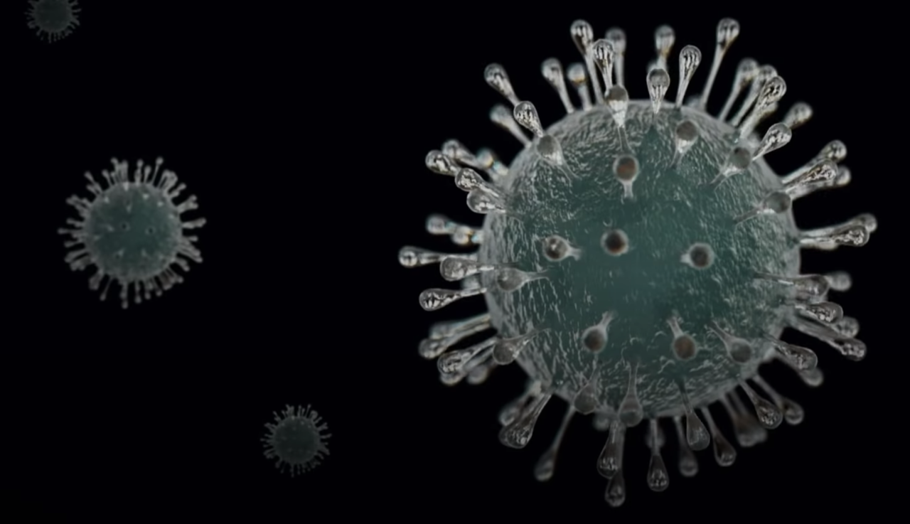 Новый штамм коронавируса. Индийский Дельта штамм коронавируса. SARS-cov-2 Дельта штамм. Ковид штаммы. Коронавирус виды штаммов