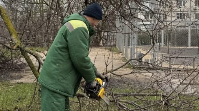 В Севастополе проводят санитарную обрезку деревьев