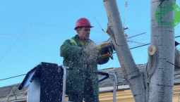 На улице Луначарского провели обрезку сухих деревьев