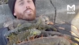 Одеялом из игуан укрылся замёрзший американец