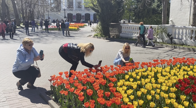 Цветочный Севастополь: жители и гости города устроили фотоохоту на тюльпаны