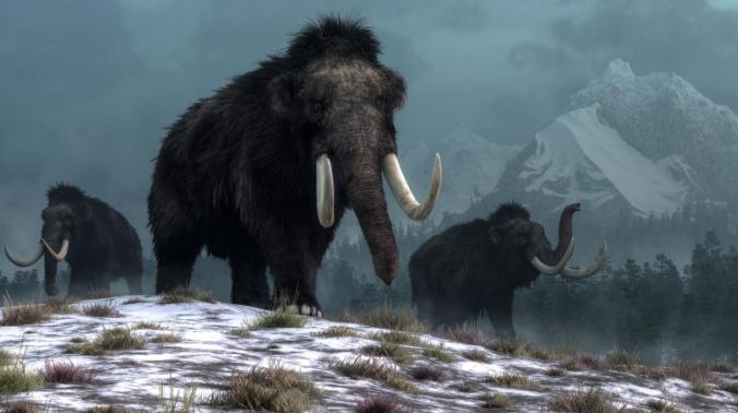 Вымирание мамонтов и гигантских бизонов спровоцировало природные пожары 