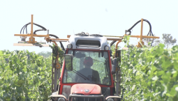 Винодельческий коворкинг появится в Севастополе