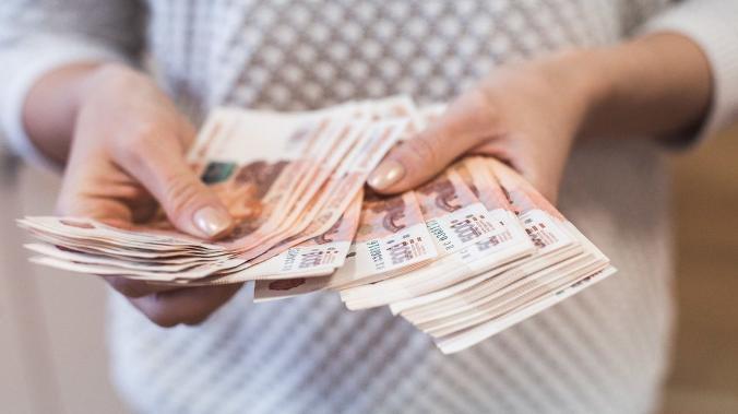 Механизм Роструда и ФССП по взысканию задолженности по зарплате оказался эффективным