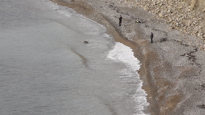 Рост уровня кислорода зафиксирован у берегов Крыма