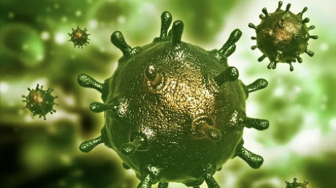 Американские учёные выявили у коронавируса уязвимое место