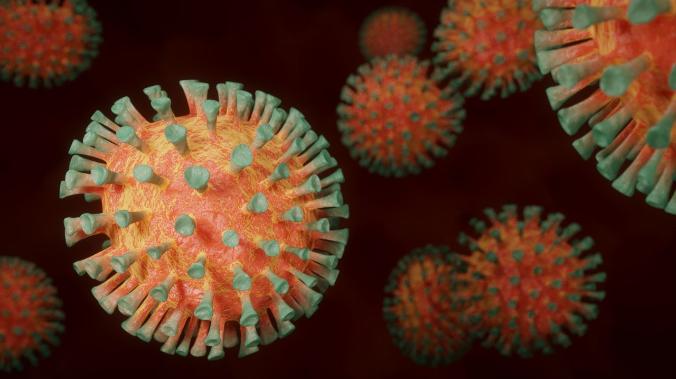 Коронавирус не дает ВИЧ проникать в клетки организма