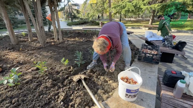 Сквер в Балаклаве украсят лавровишни и тюльпаны 