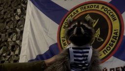 Бойцы 810 бригады морской пехоты приютили енота